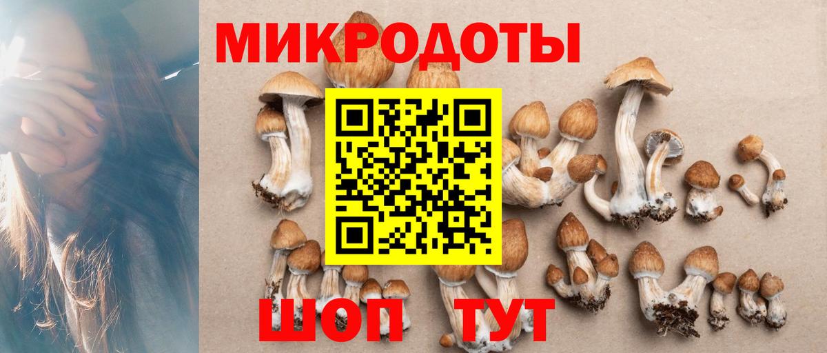 Псилоцибиновые грибы Psilocybine cubensis  Вход с VPN  Йошкар-Ола 