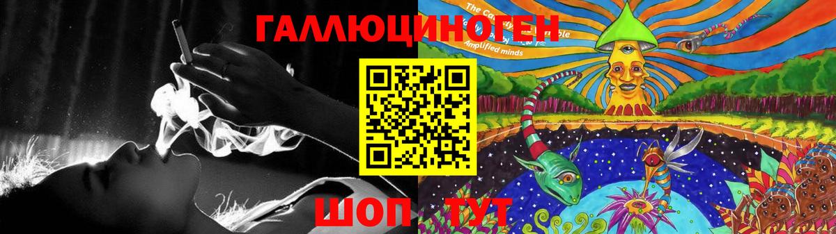 Галлюциногенные грибы Psilocybe Йошкар-Ола